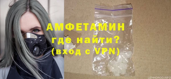 шишки Бердск