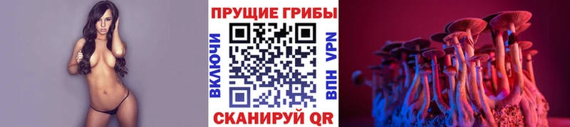 omg сайт Карачев Галлюциногенные грибы мухоморы где найти
